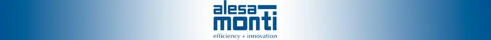 логотип ALESAMONTI 